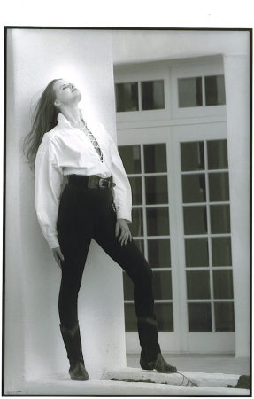 Modeling Pic 1993