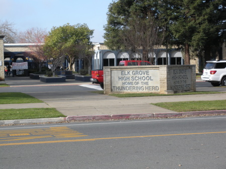 elk grove high school