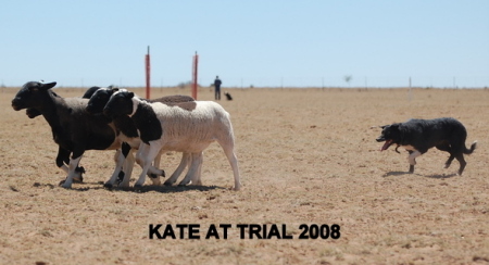 KATE AT TRIAL