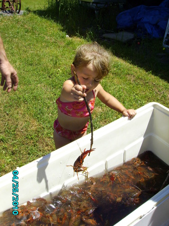 Mudbugs