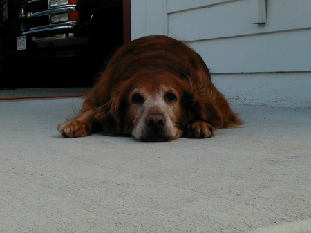 Minnie relaxing