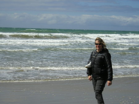 Beach on South Island, NZ