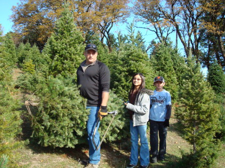 xmas tree hunt 2008