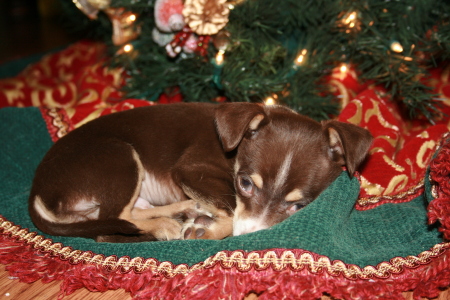 one of our little babies he was a real present