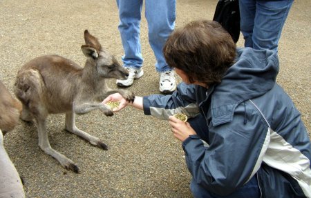 Featherdale Wildlife Park, Australia