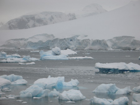 Icebergs at Chilean Base, Antarctic Peninsula