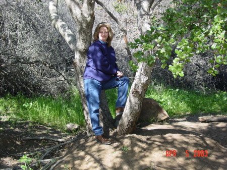 Donna on a hike in Hollywood