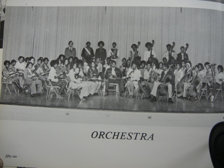 The Orchestra