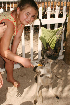 Lisa, now 8, feeds a baby kangaroo