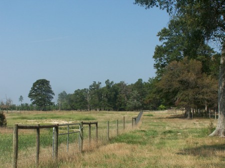 North Carolina farm