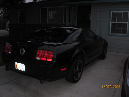 my Mustang 2008