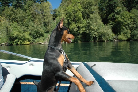 Harley's first boat ride.