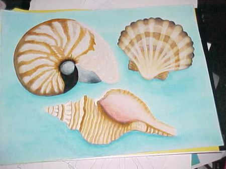 Shells