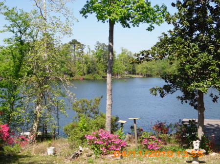 Lake Amanda