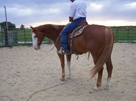My new horse "Billy"