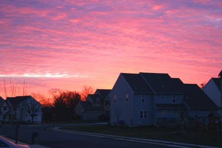Pink Sunrise at 5 am !!