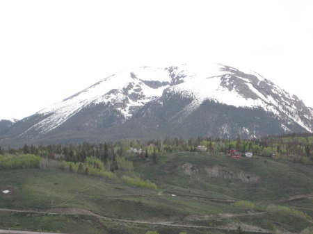 MY MOUNTAIN, BUFFALO MT.