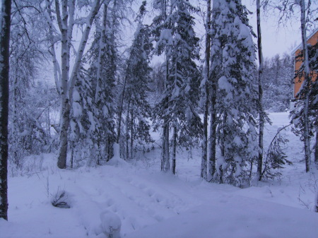 home in Big Lake