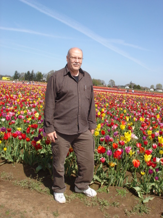 4/2010 local Tulip festival