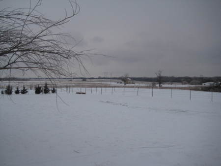 Part of the property this winter
