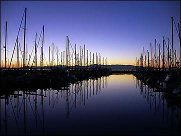 Purple Sunset