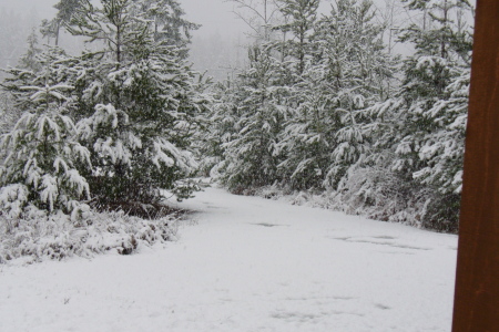 shovel the driveway (not)