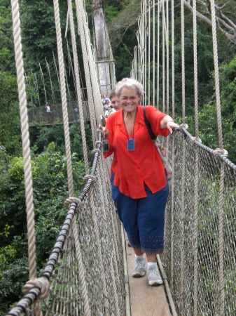 Canopy Walkway