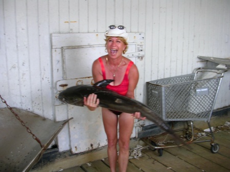 Cobia Catching