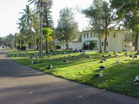 Typical Officers Housing on Midway Island