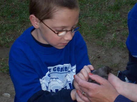 Zach at the Petting Zoo