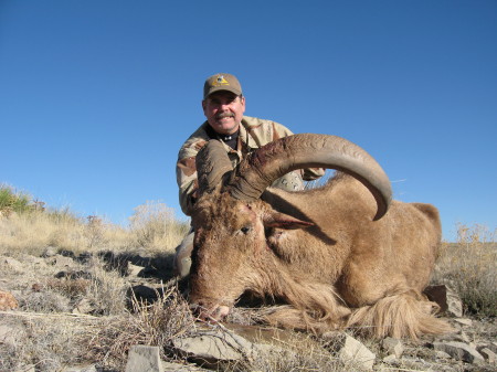 Auodad Sheep hunt in New Mexico