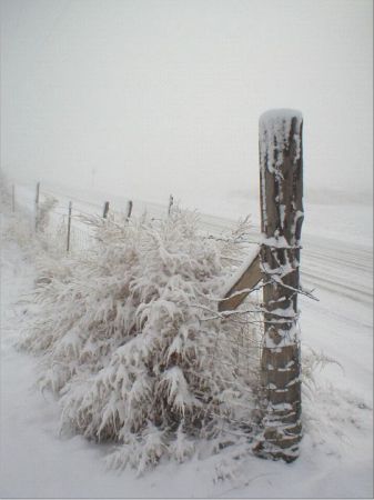 This old corner post has seen a lot of winters