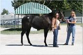 Keeneland 2007