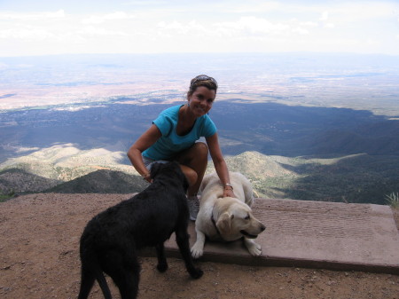 With friends dogs at 8,500 ft. elevation, AZ