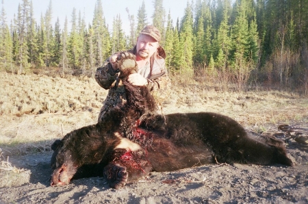 Alberta Black Bear