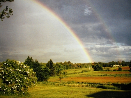 Rainbow over the NorthEast field