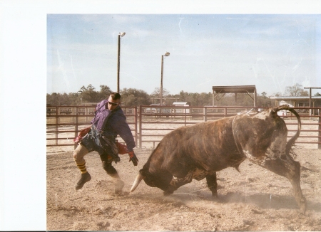 Rodeo pics