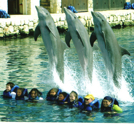 Our family with Dolphins