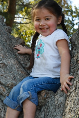 Breanna up in a tree.