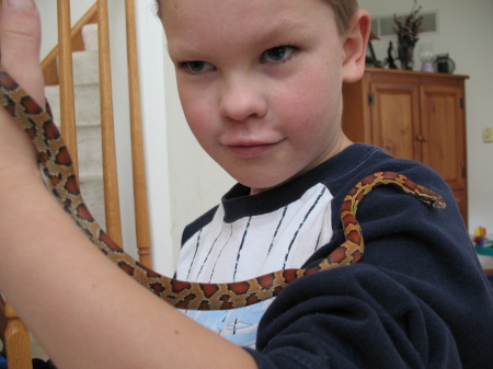 Jack and his snake