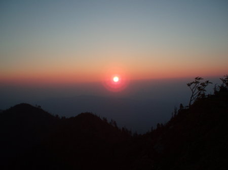 High on Mt LeConte, Smoky Mountains