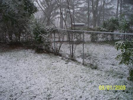 Snow in Alabama