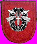 Flash and Insignia
