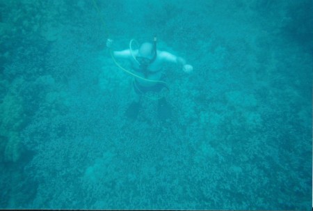 Snuba underwater-Maui 2002