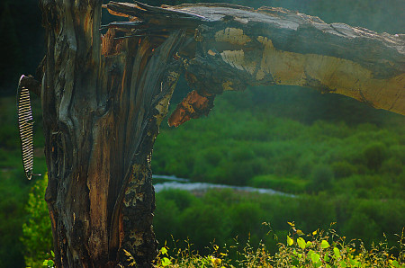 Blue Creek Colorado by Jodene Black