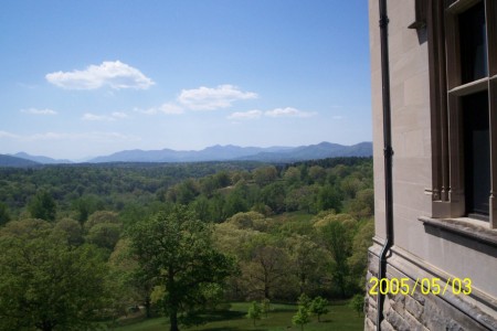 A view off the rear porch