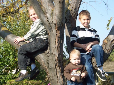 Grandsons...climbing the tree
