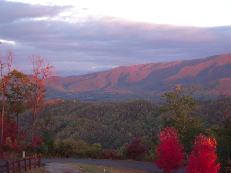 Mountain Beauty