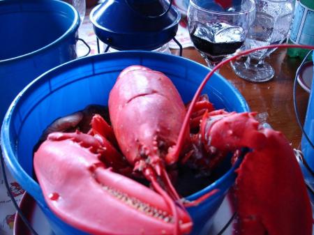 Maine Lunch!