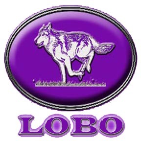 Lobo Video Productions, LLC